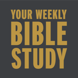 Bibellehre | Seminare | Coaching | Consulting